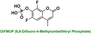 Bio-Synthesis Inc. Oligo Structure